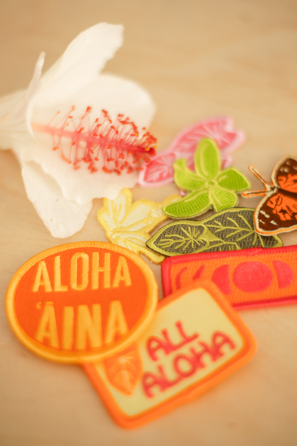 Iron-on Patch | Assorted - *ASF*