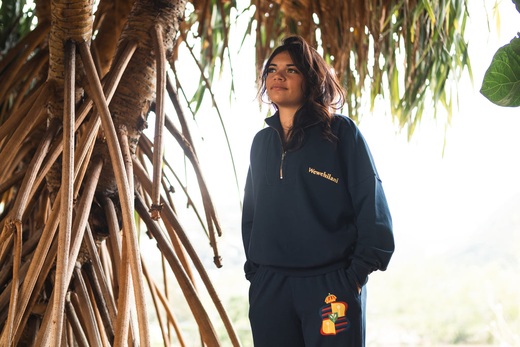 Ka Hae Kalaunu o Liliʻuokalani | Half Zip Sweatshirt - navy