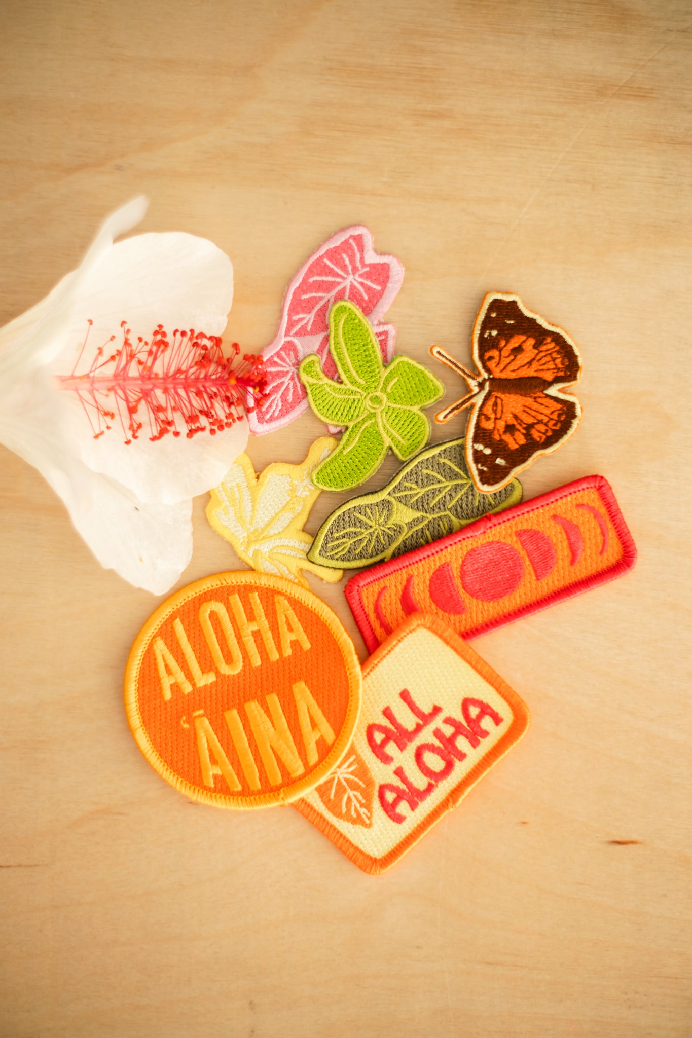 Iron-on Patch | Assorted - *ASF*